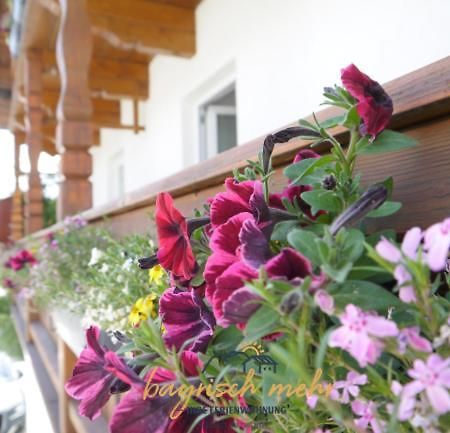Ihre Ferienwohnung Bayrisch Mehr... เกอชตัดท์ อัม คิมซี ห้อง รูปภาพ
